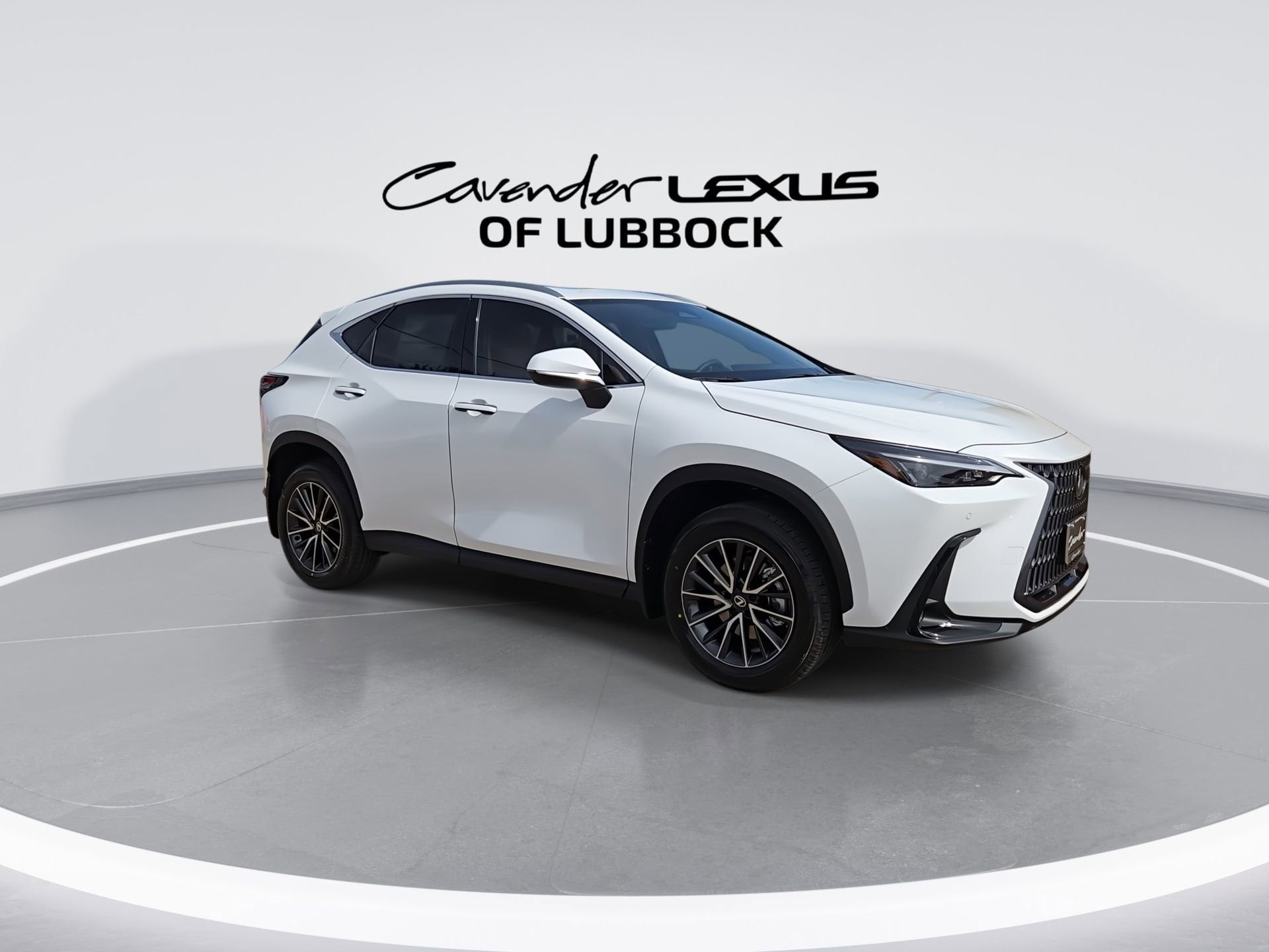 car-gallery-2