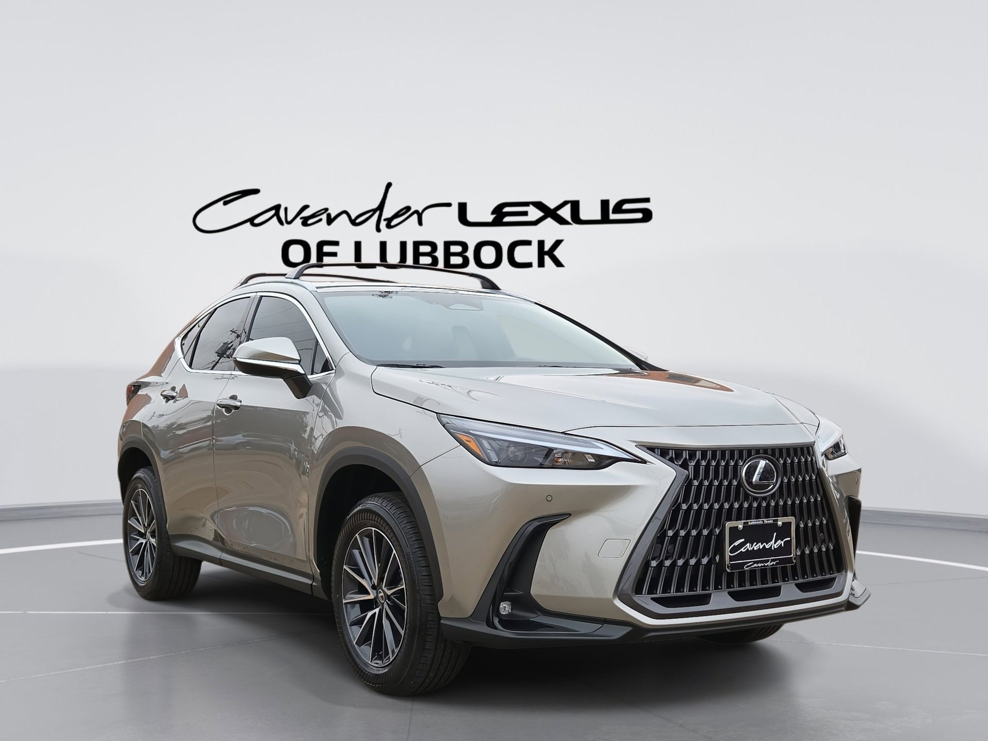 2026 Lexus NX Hybrid 350h's photo