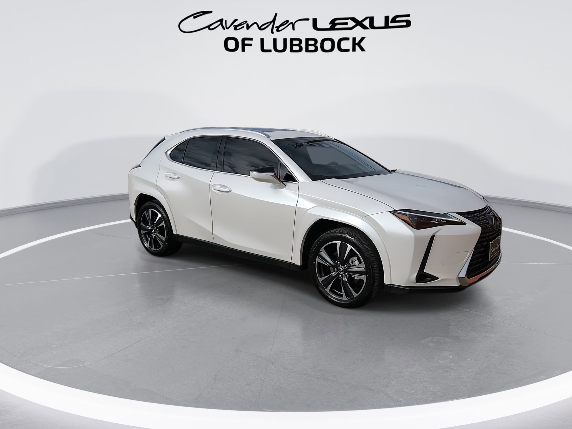 2025 Lexus UX Premium photo 2