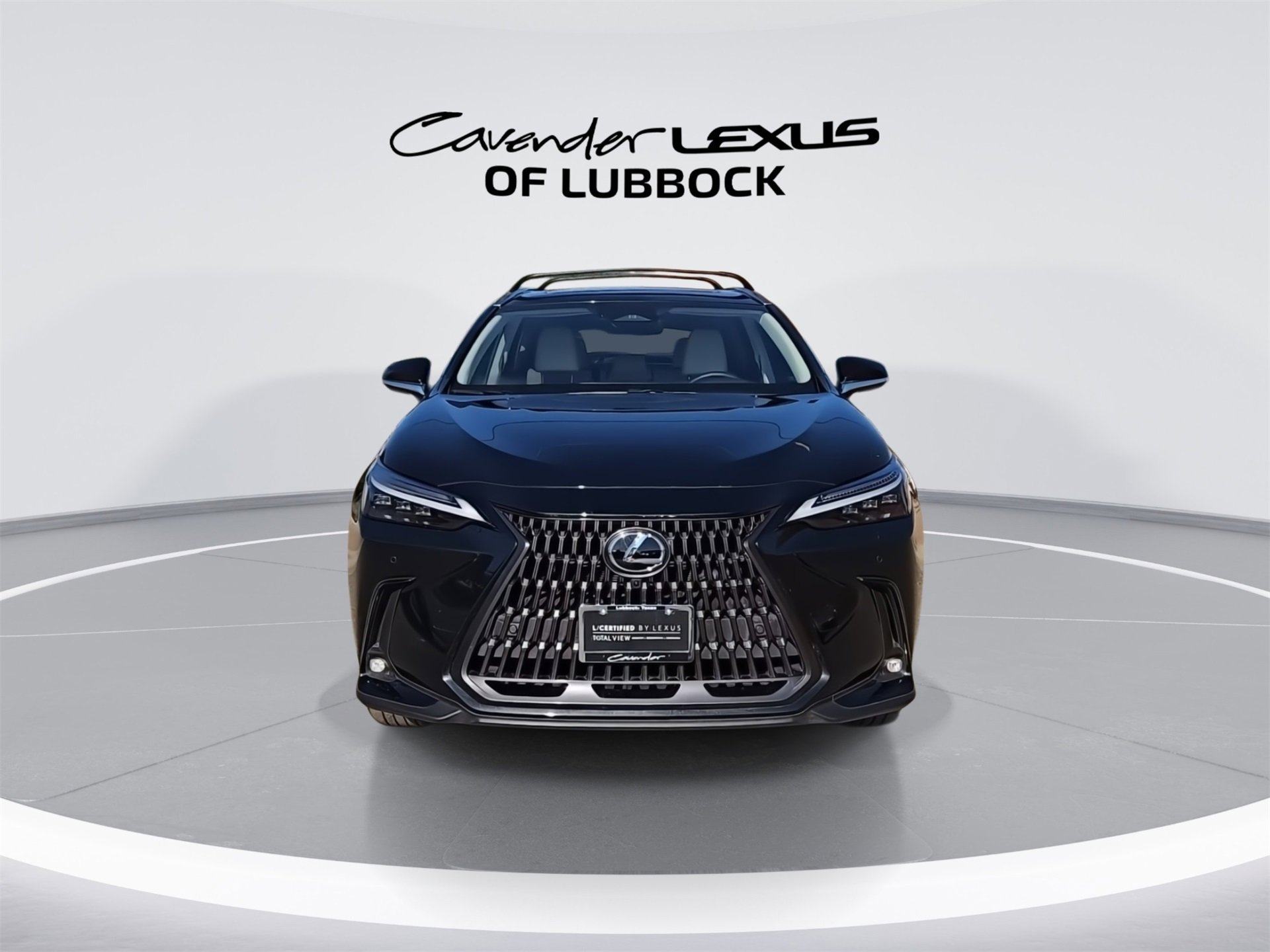 2025 Lexus NX Luxury photo 2