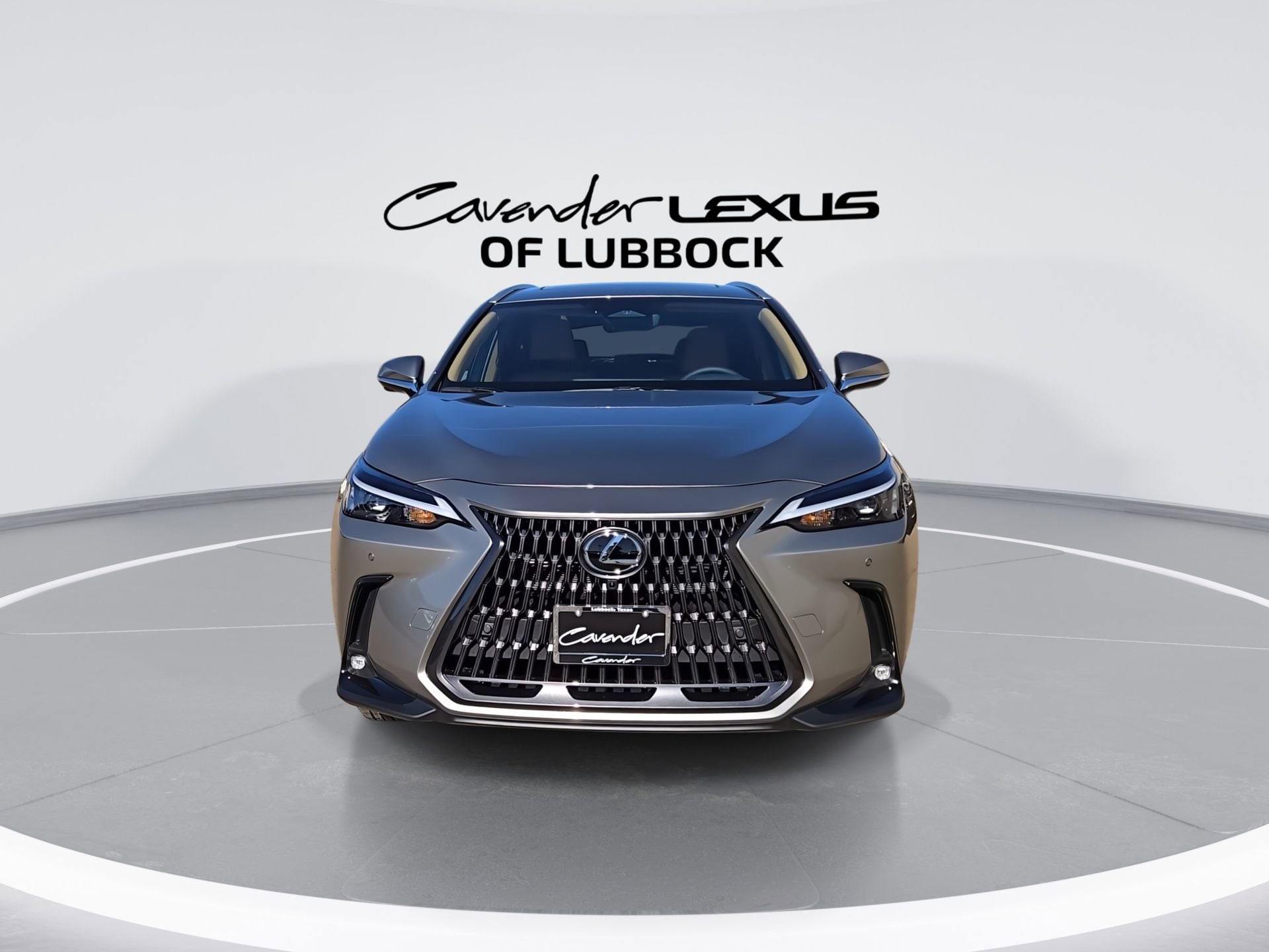 View vehicle photo 3