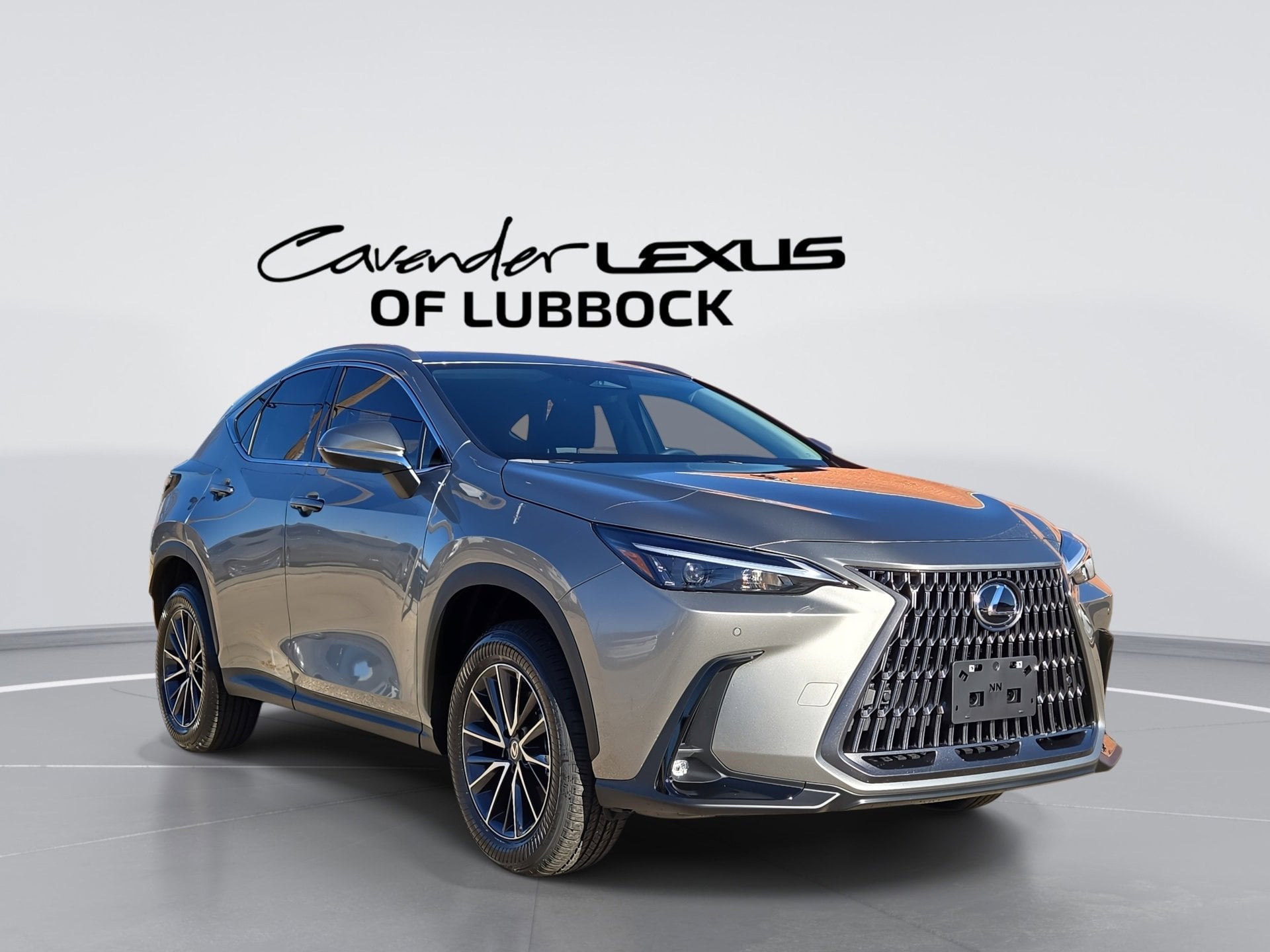 2026 Lexus NX Hybrid 350h's photo