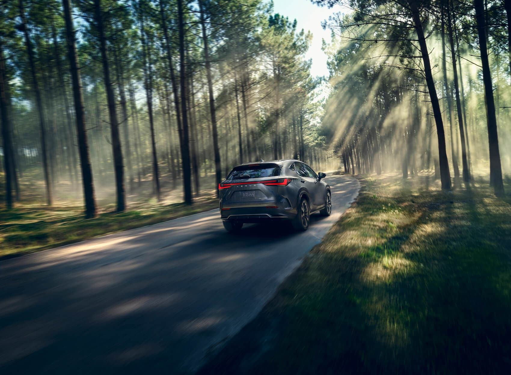 2022 Lexus NX trim levels
