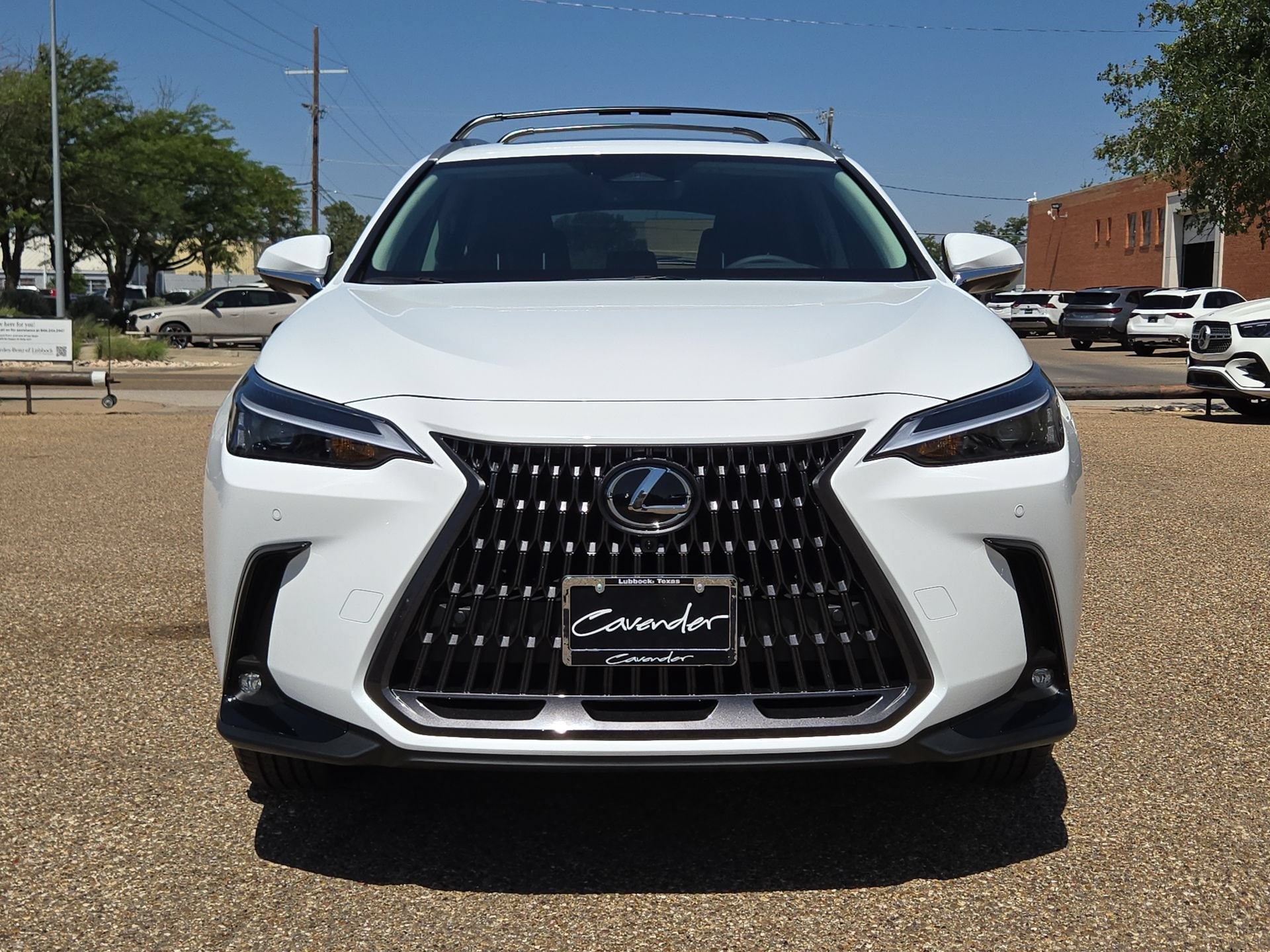 car-gallery-10