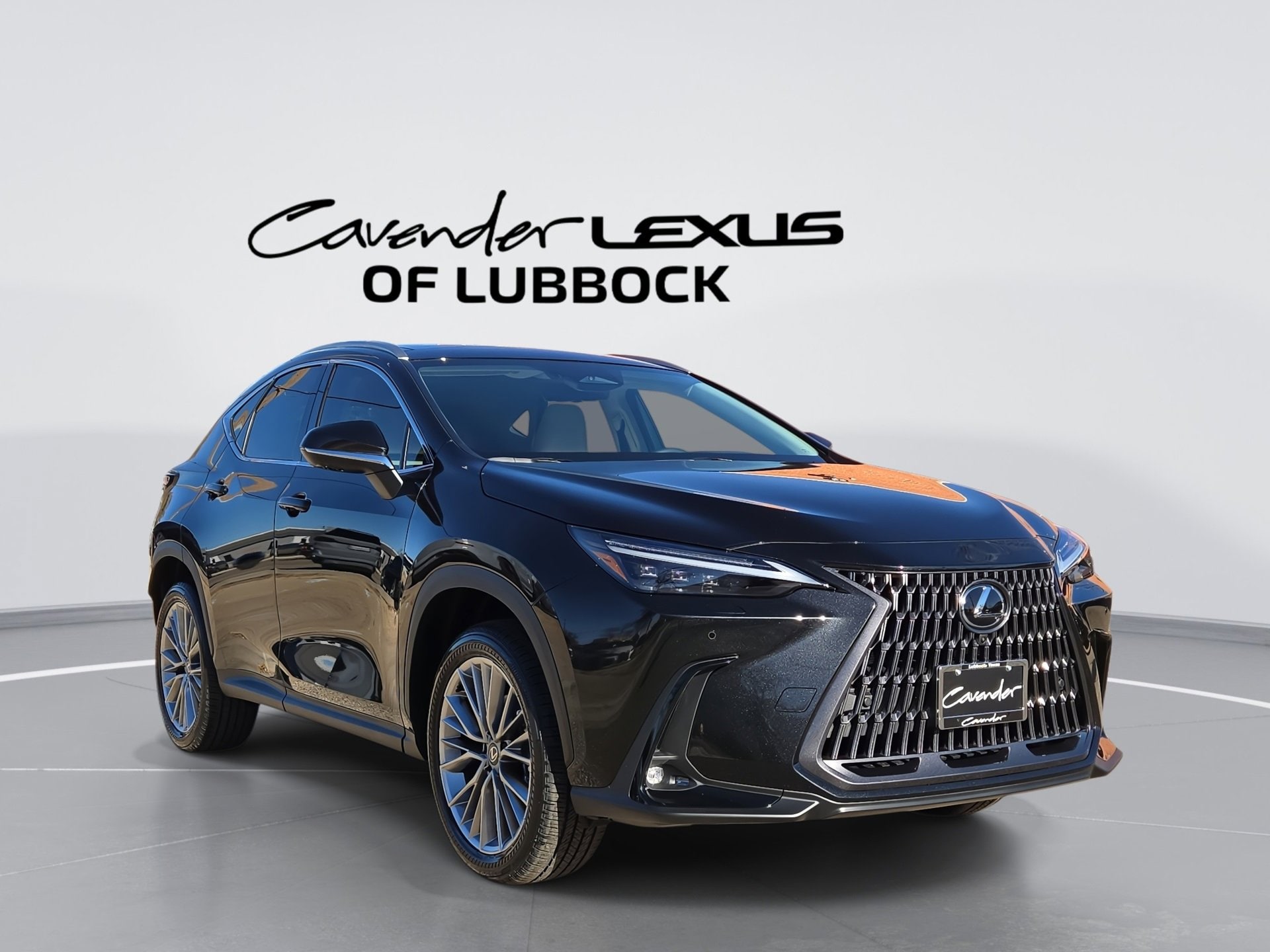 2026 Lexus NX 350's photo