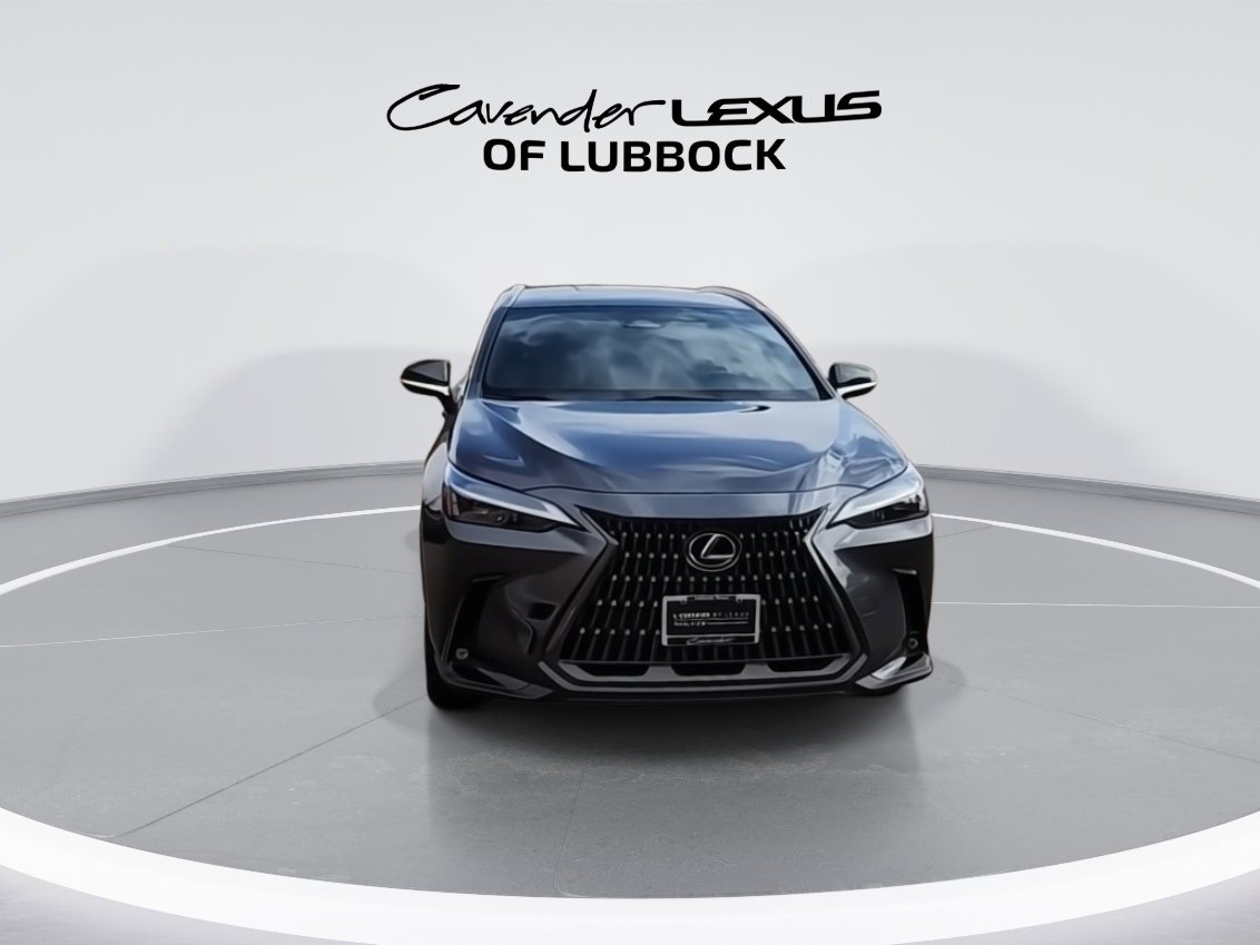 2024 Lexus NX 250 photo 3