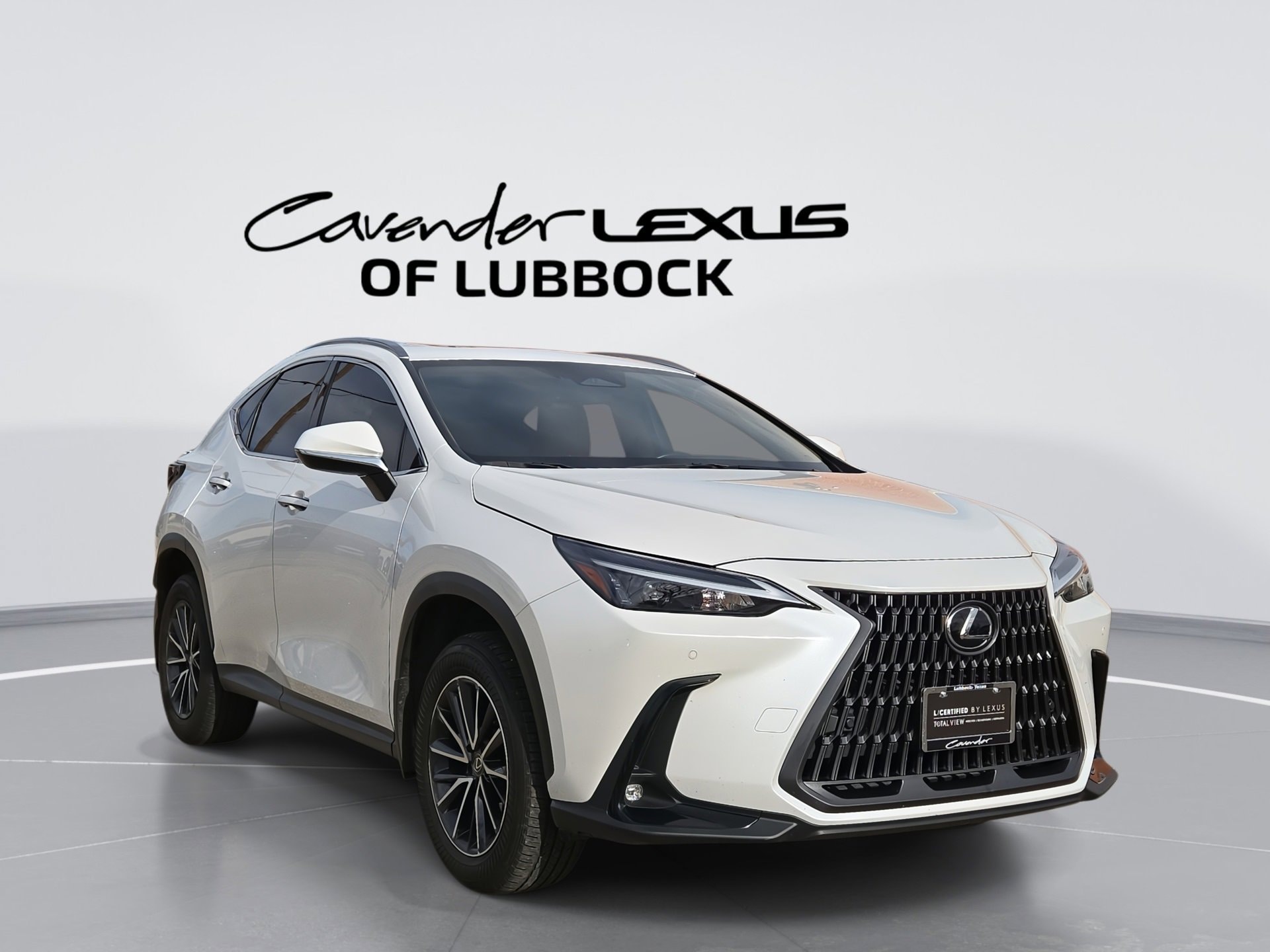 2024 Lexus NX 350's photo