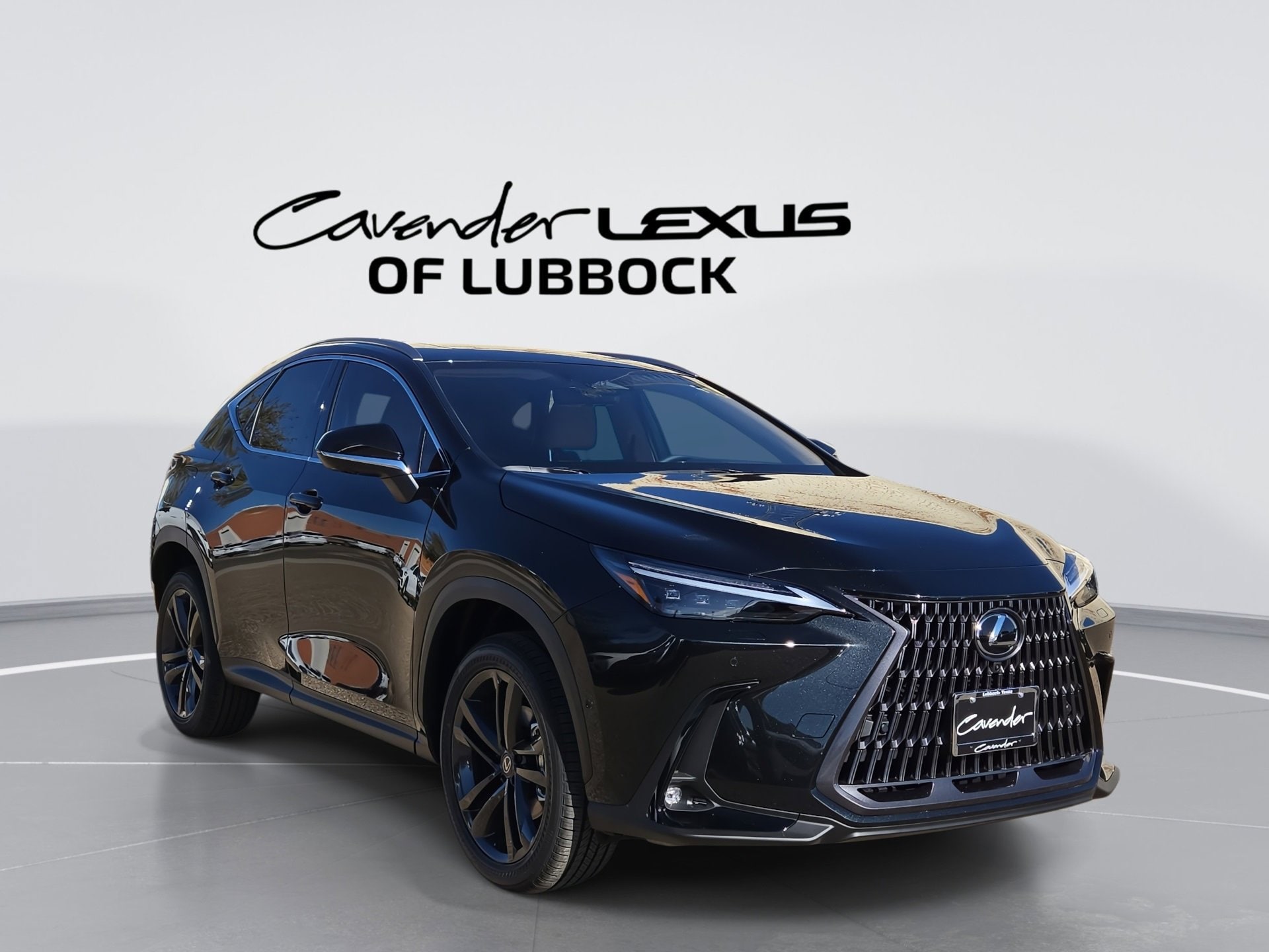 2026 Lexus NX PHEV 450h+'s photo