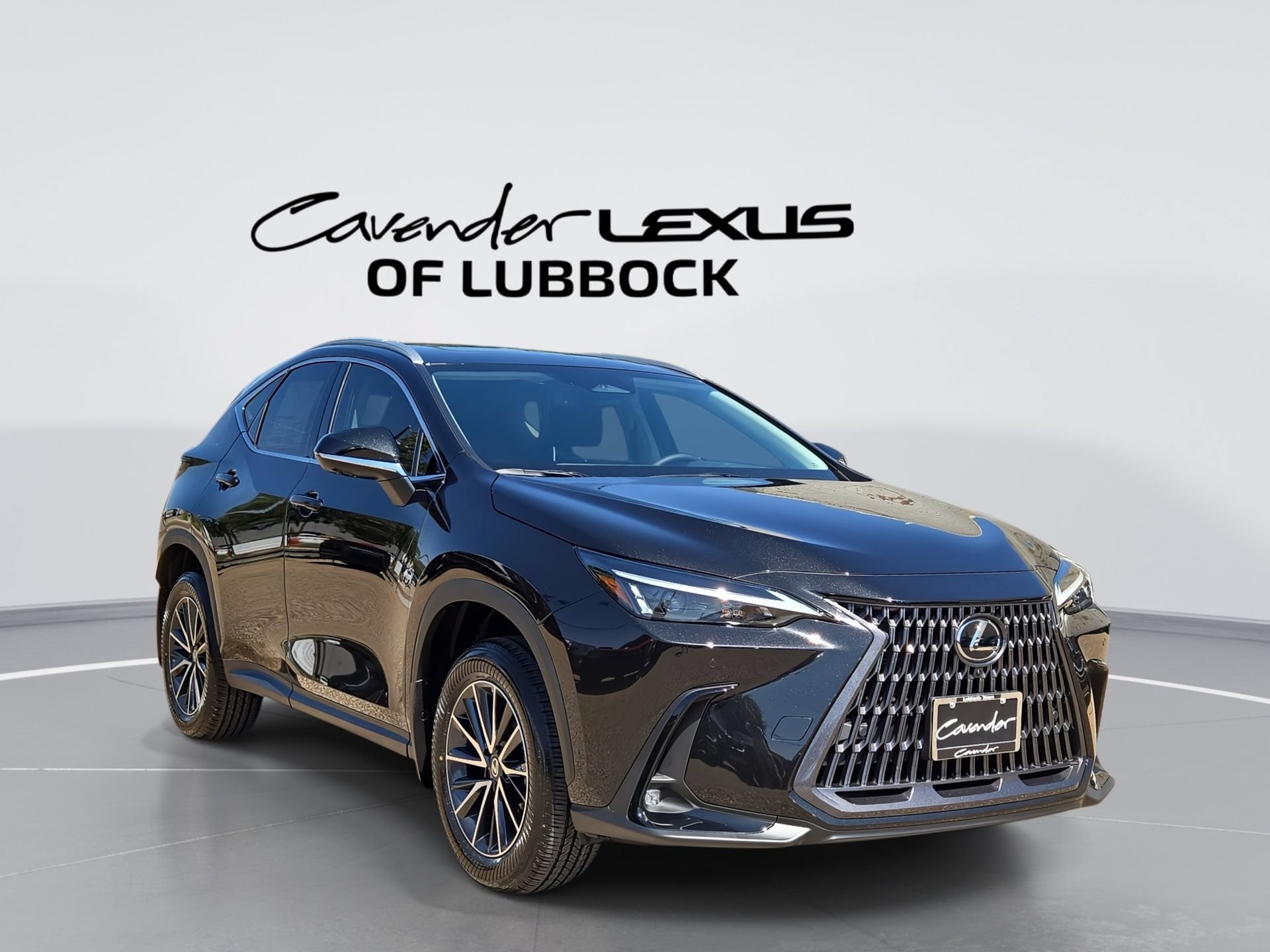 car-gallery-1