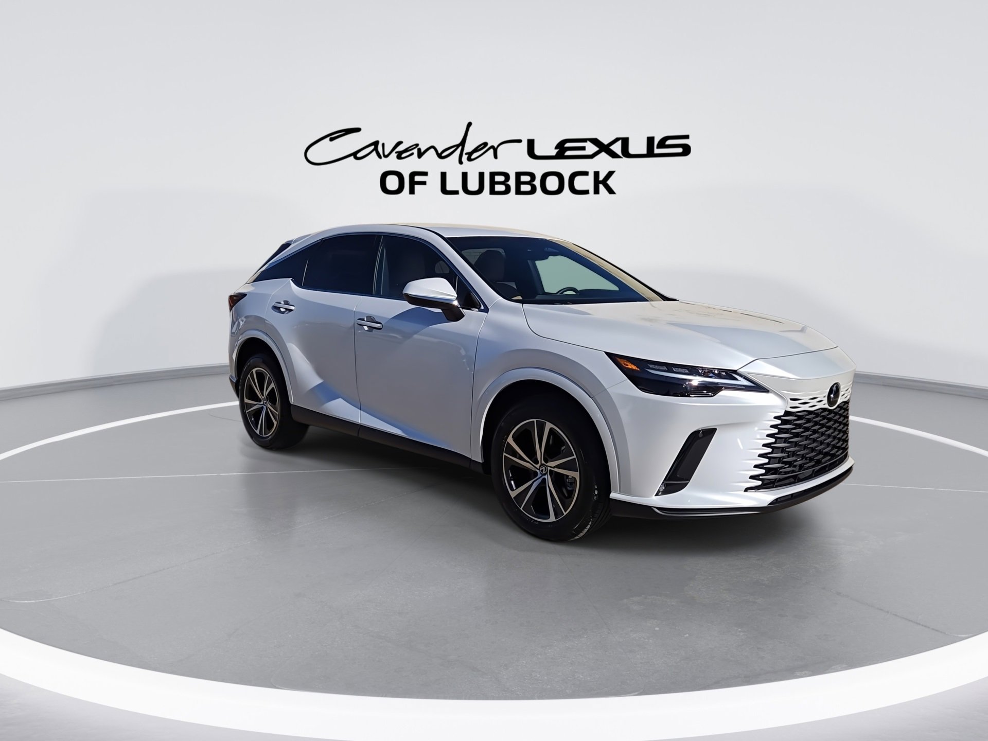2025 Lexus RX 350 photo 2
