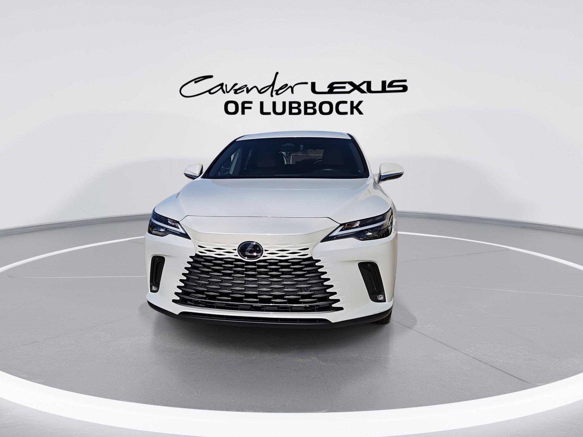 2025 Lexus RX 350 photo 3