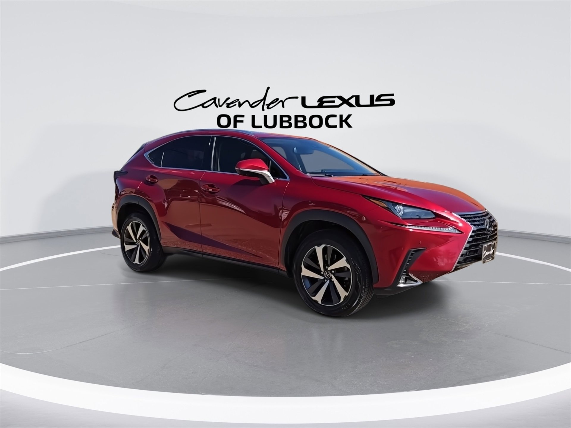2021 Lexus NX 300 Premium photo 2