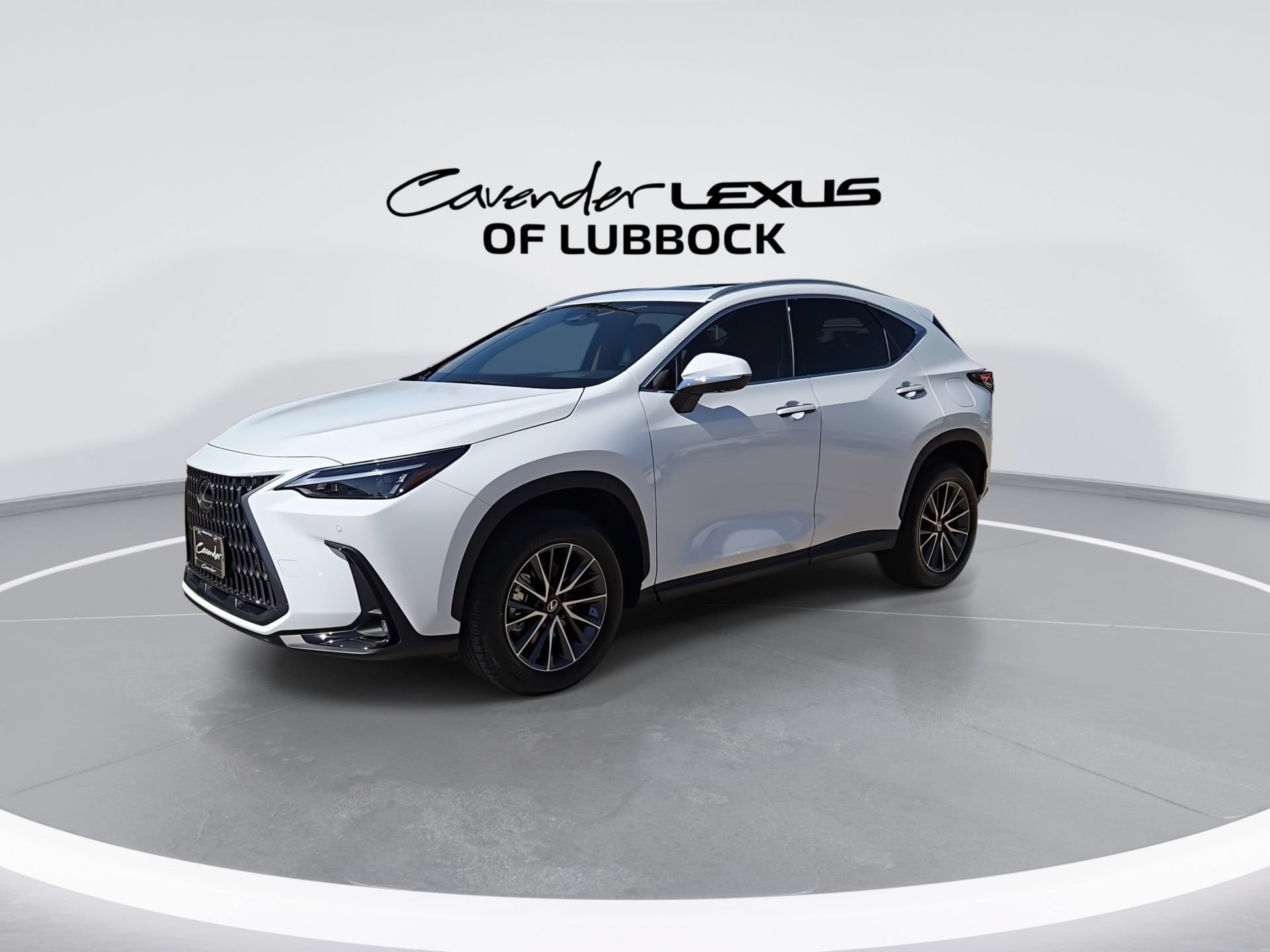 car-gallery-4