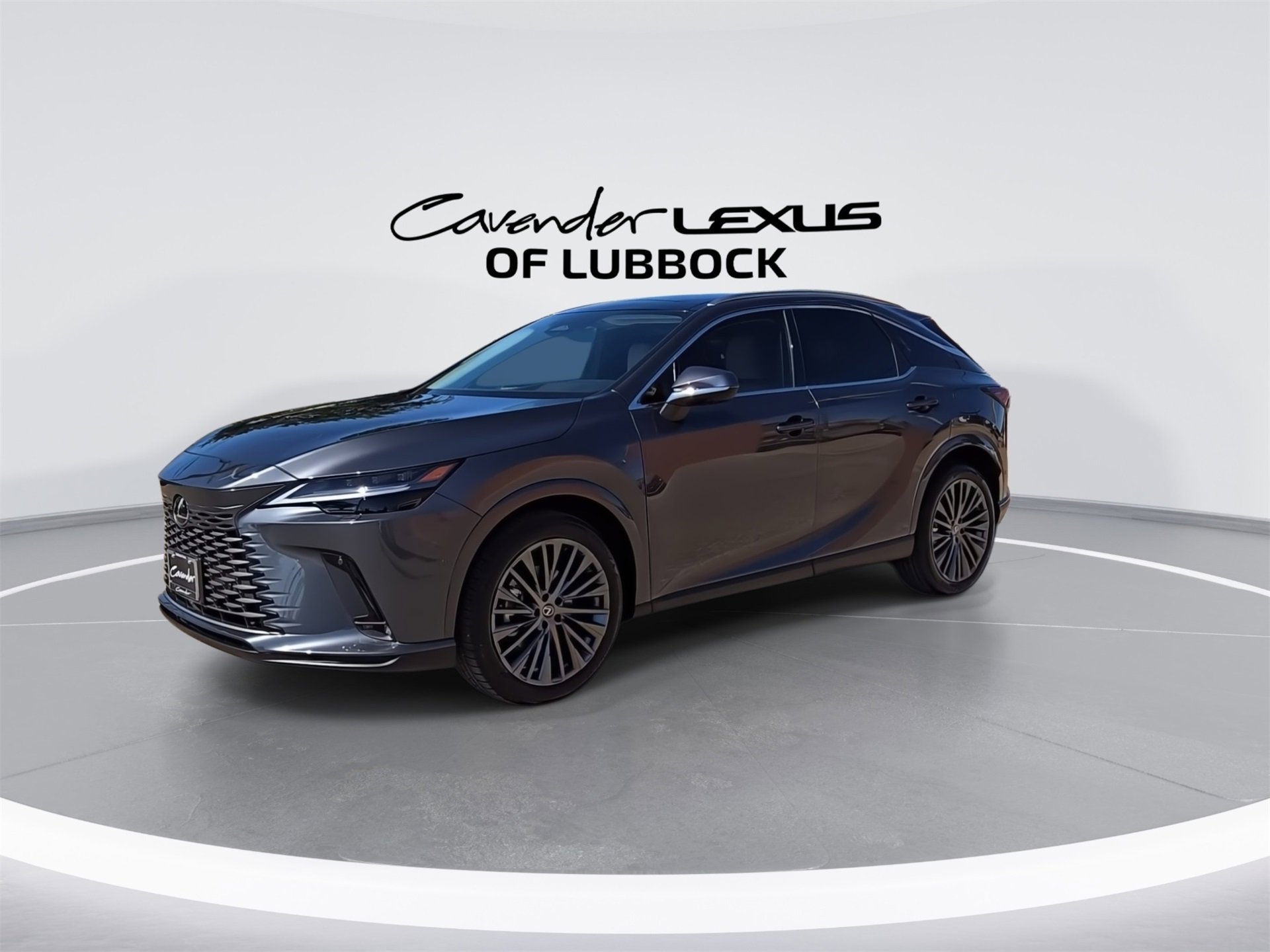 2025 Lexus RX 350 Luxury photo 3