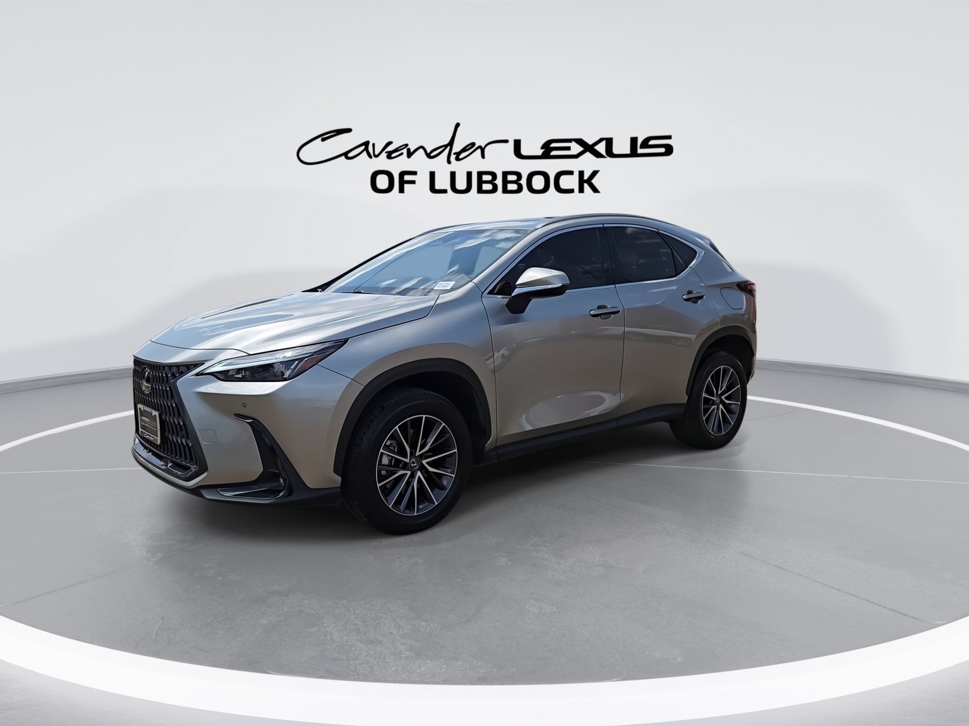 car-gallery-4