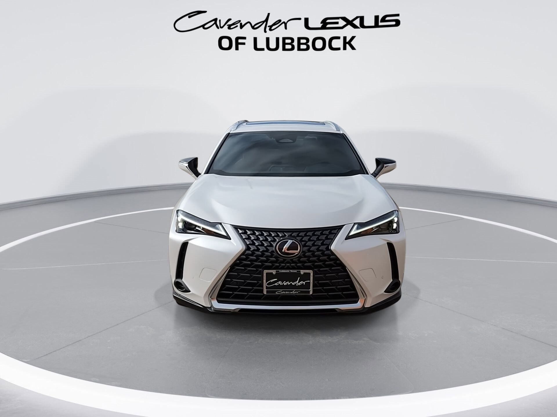 2025 Lexus UX Premium photo 3