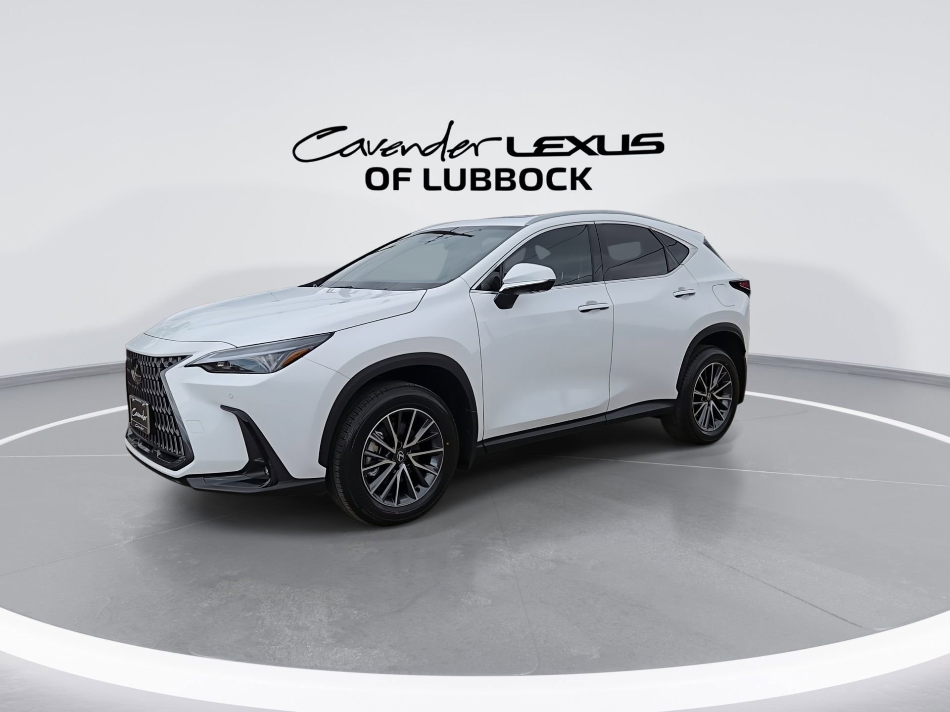 car-gallery-4