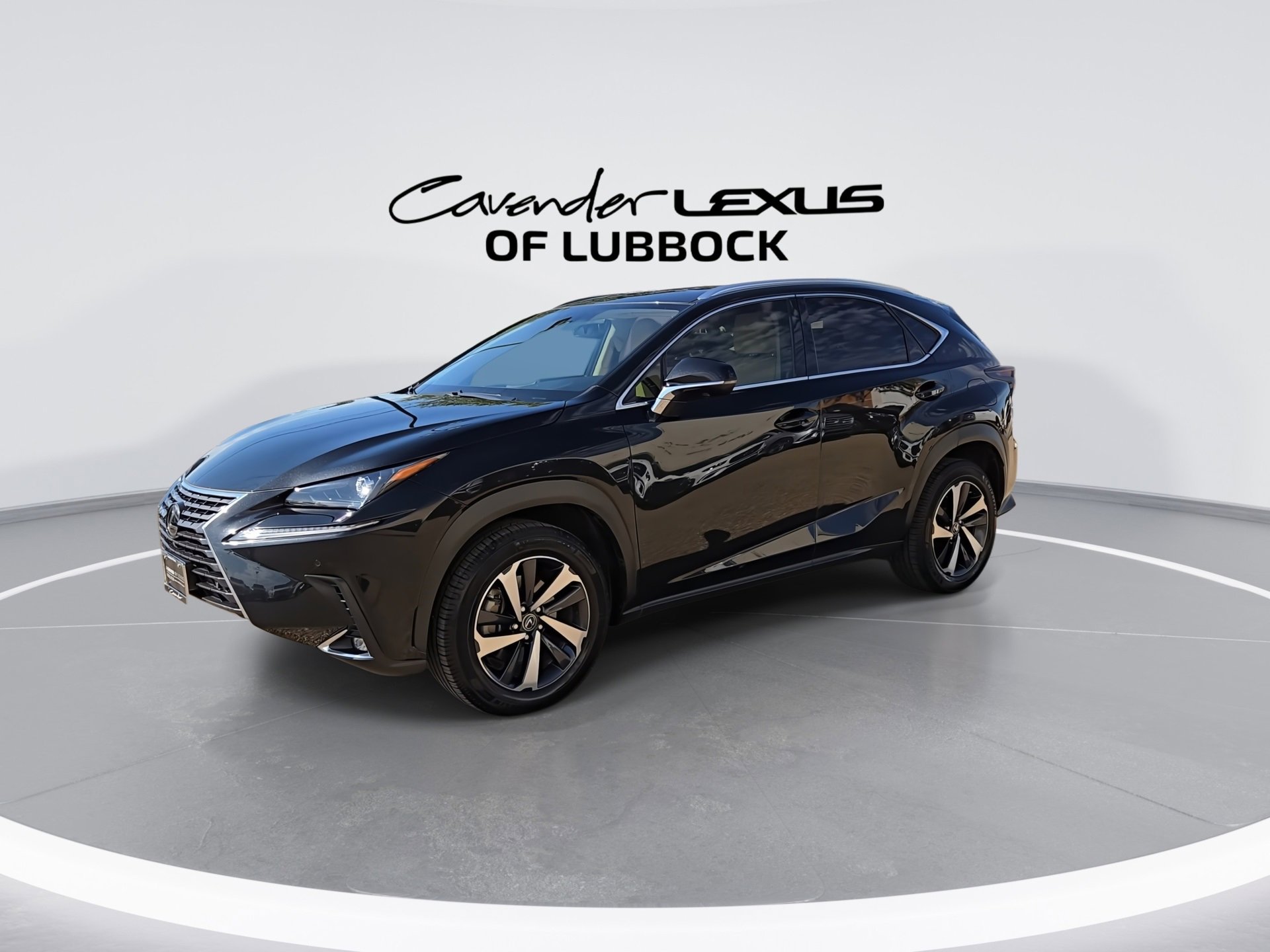 2021 Lexus NX 300 Premium photo 4