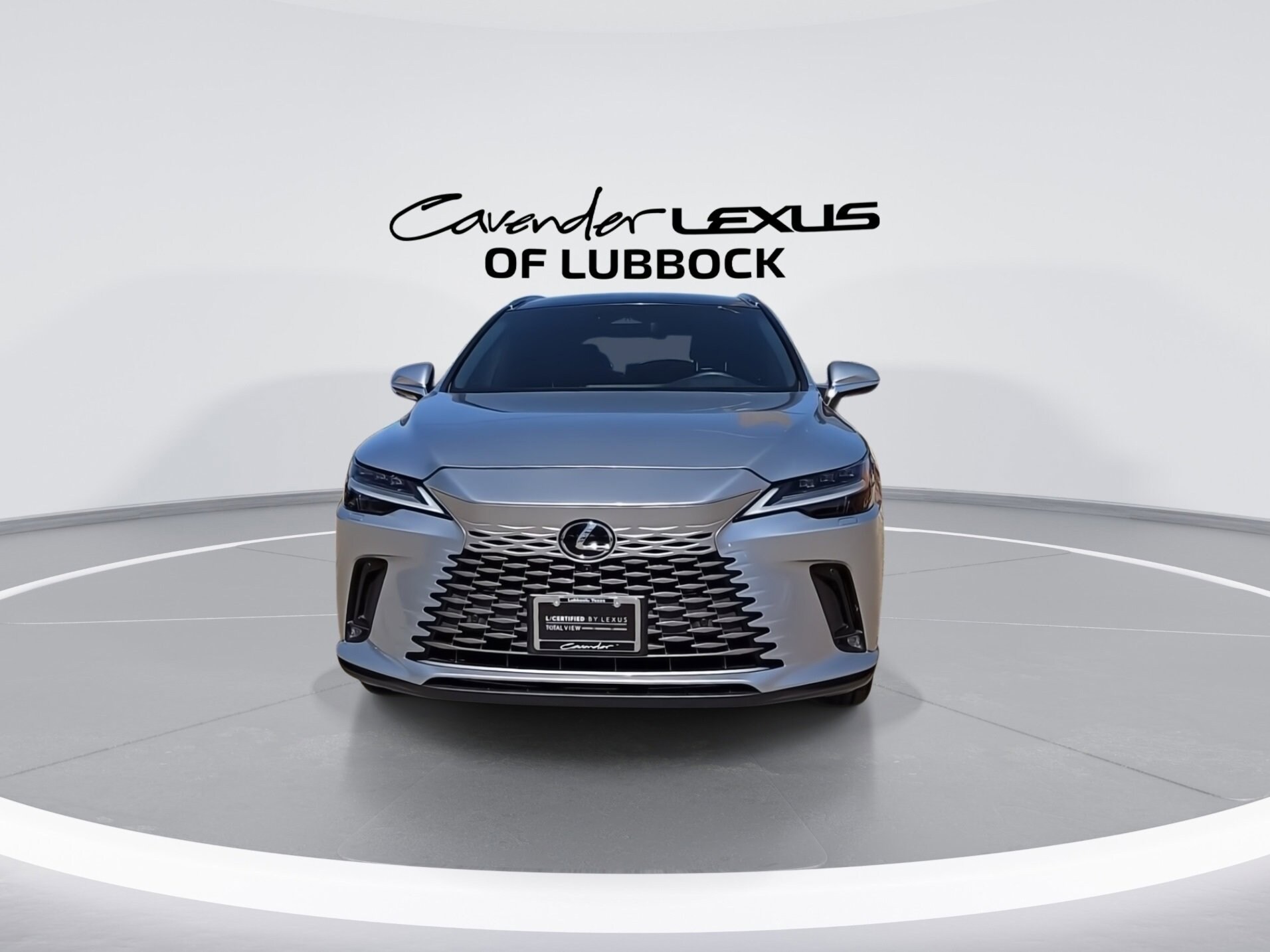 2023 Lexus RX 350 Luxury photo 3