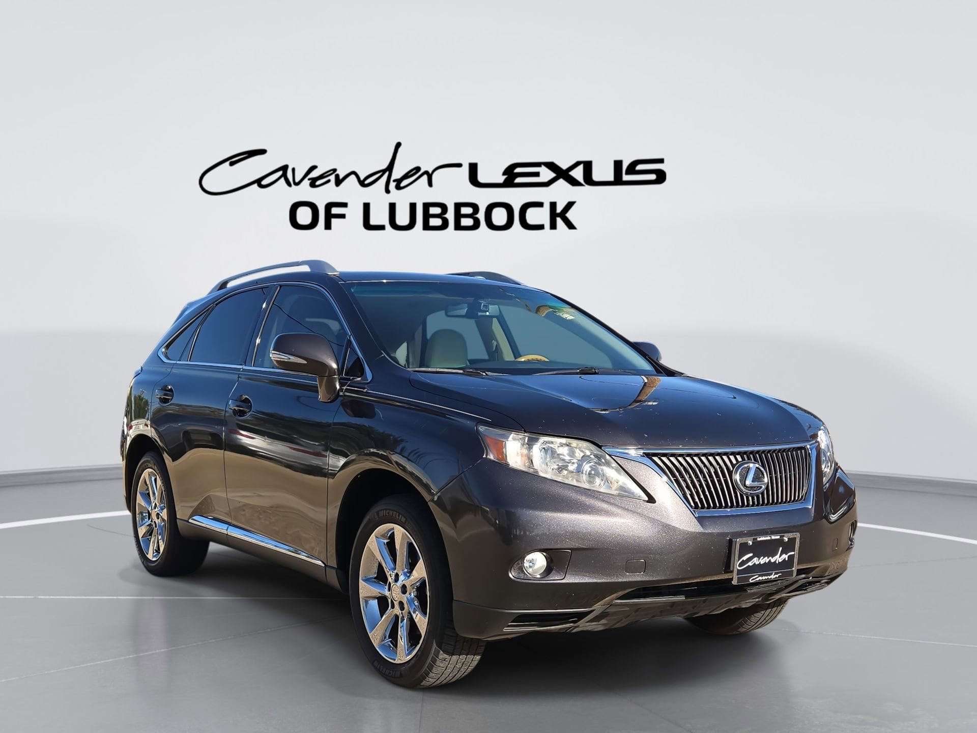 2010 Lexus RX 350 350's photo