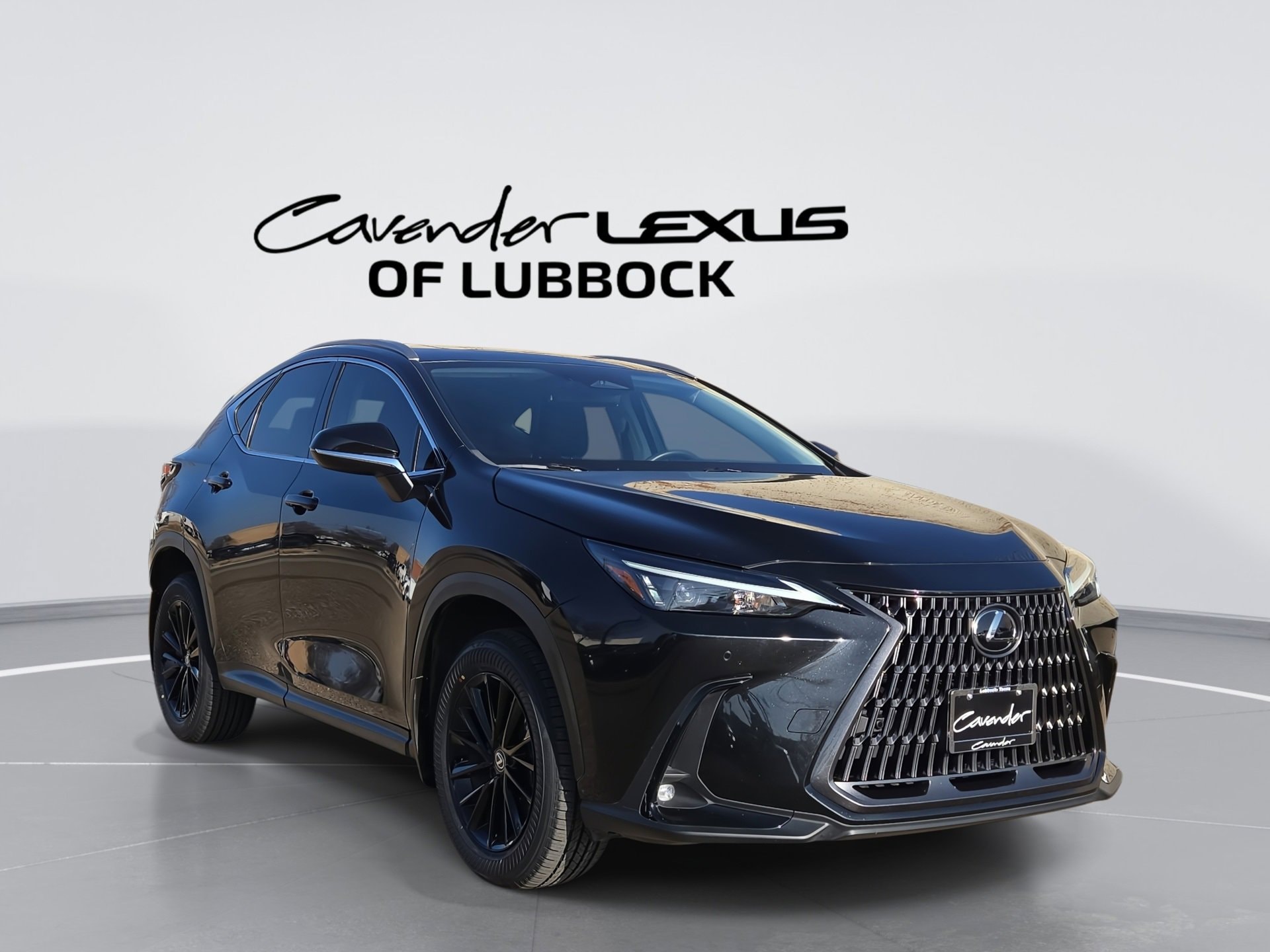 2024 Lexus NX 350
