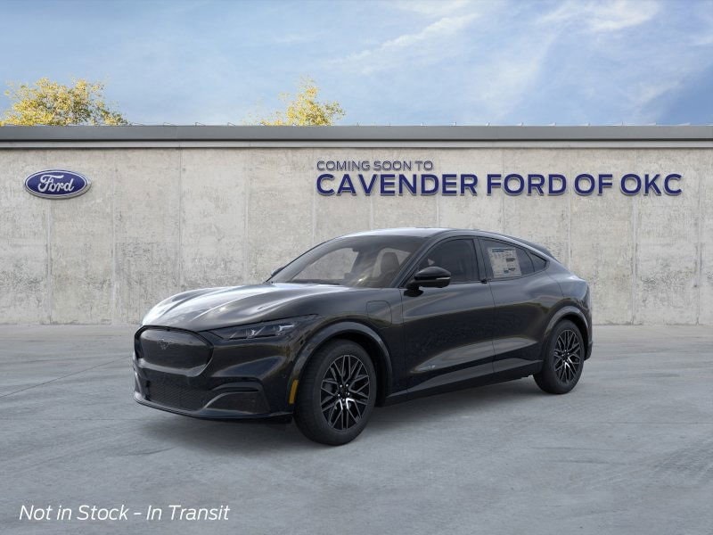 2025 Ford Mustang Mach-E Premium RWD's photo