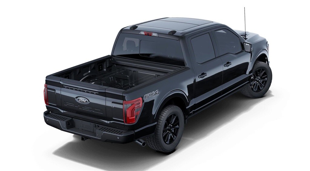 2025 Ford F-150 Platinum photo 3