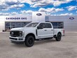  Ford Super Duty F-250