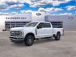  Ford Super Duty F-250