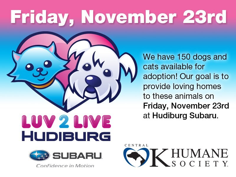 Luv 2 Live Free Pet Adoption Cavender Subaru of Norman