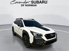 2025 Subaru Outback Wilderness SUV