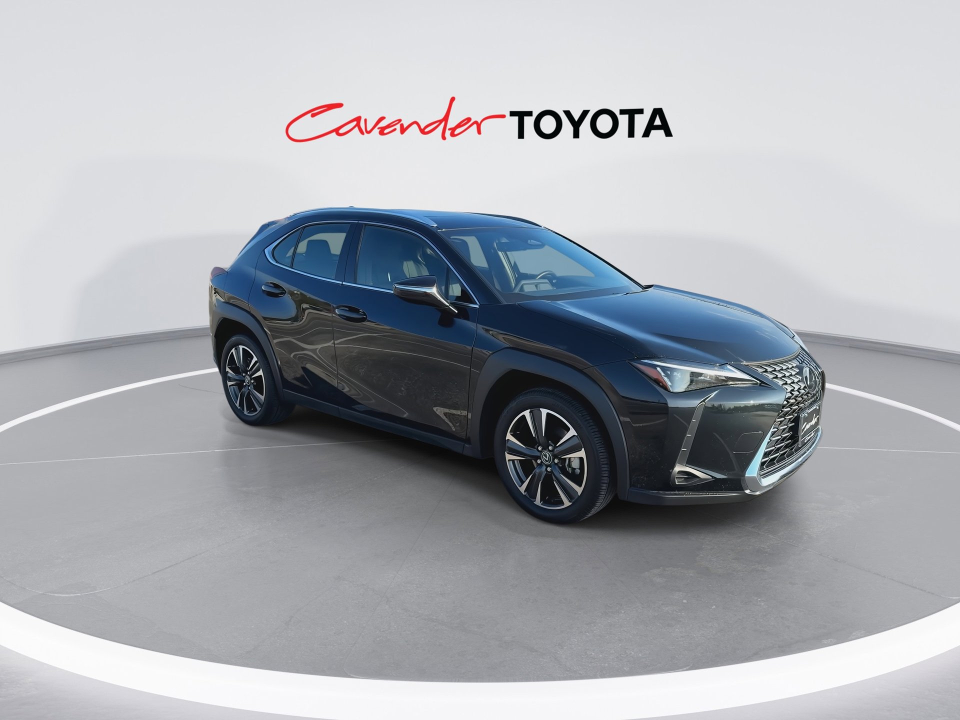 2025 Lexus UX photo 2