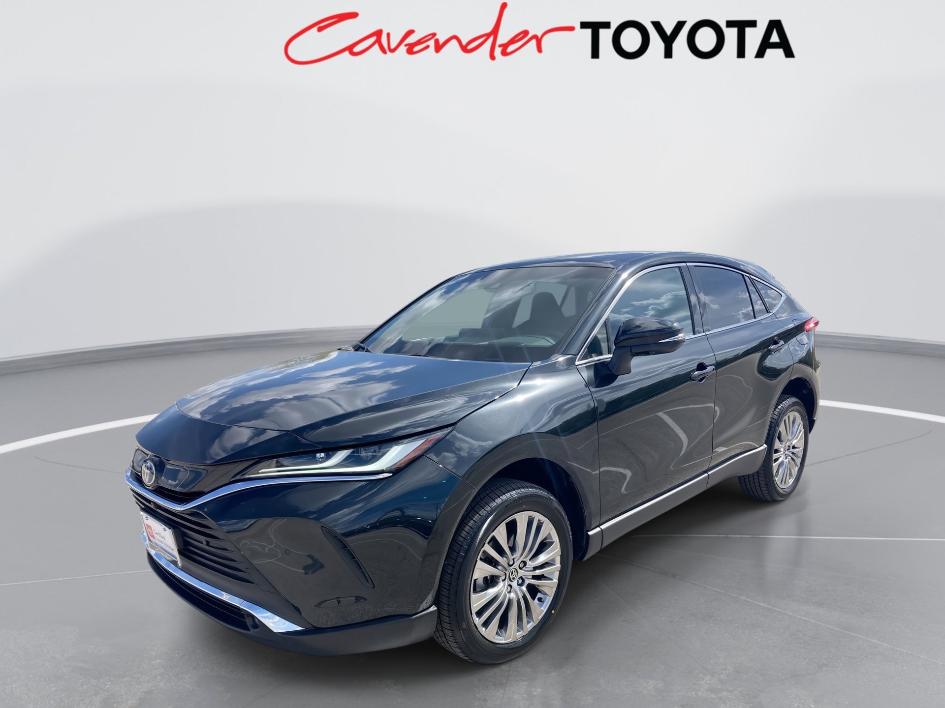 2024 Toyota Venza Limited's photo