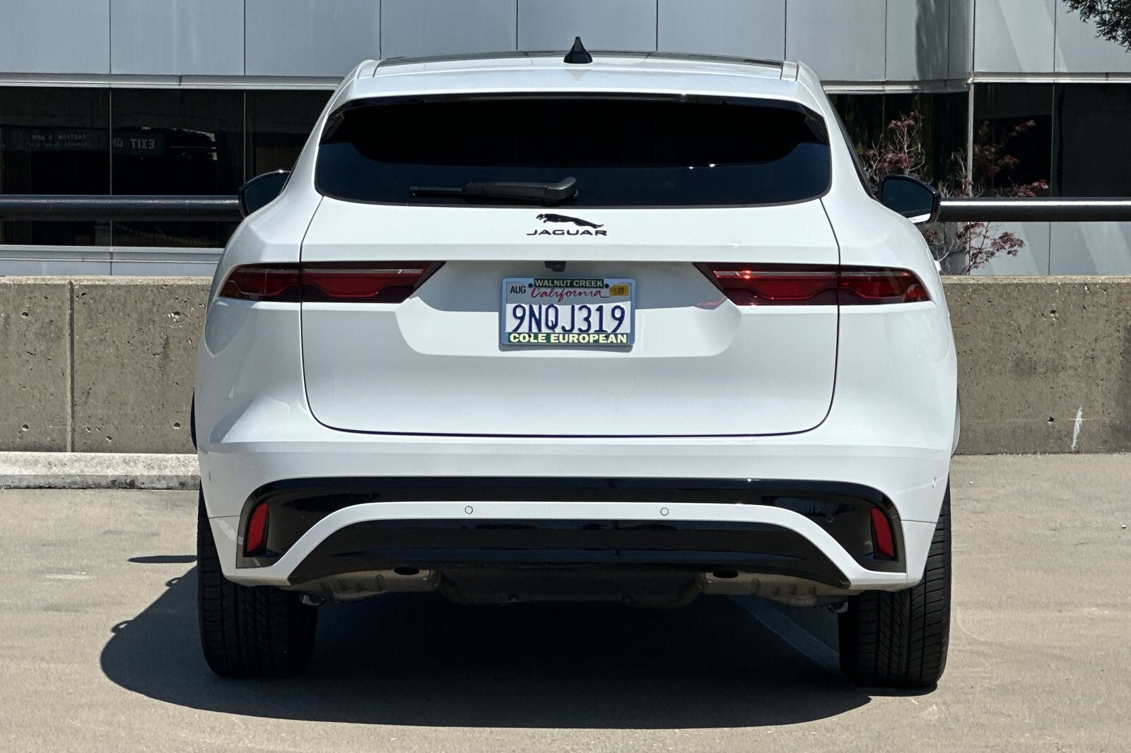 2024 Jaguar F-PACE P250 R-Dynamic S photo 3