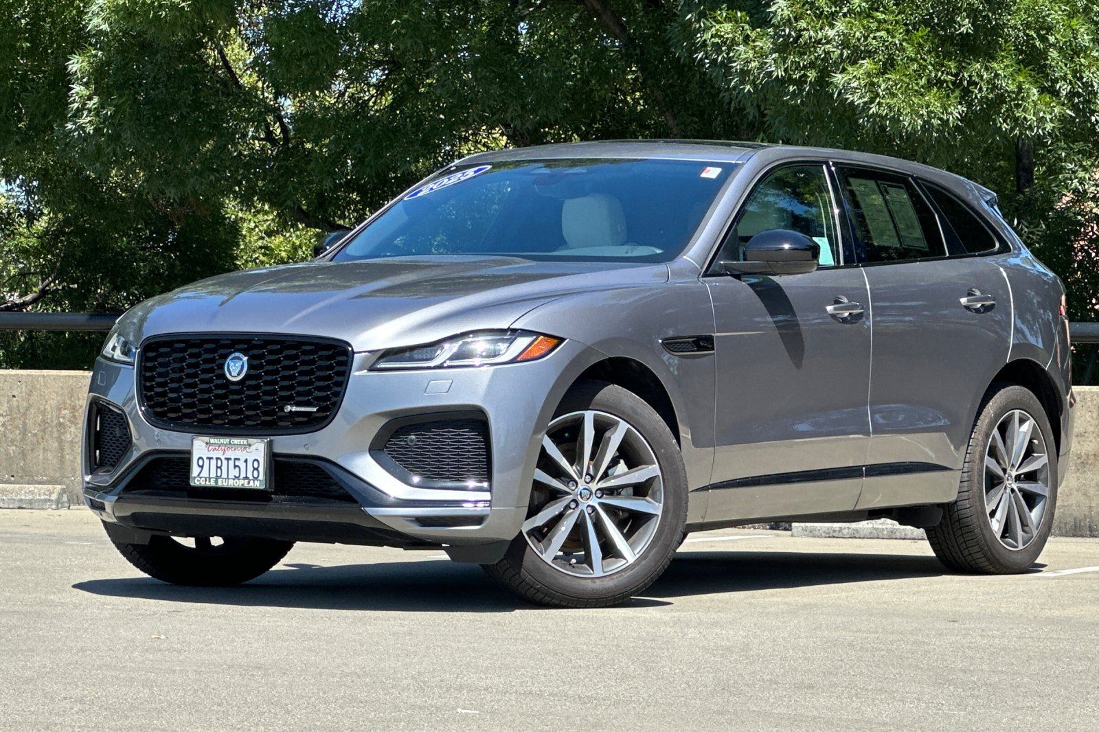 2025 Jaguar F-PACE P250 R-Dynamic S's photo