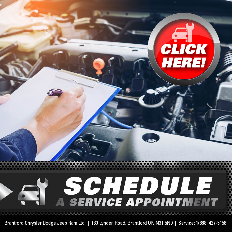 BC-service package2.jpg