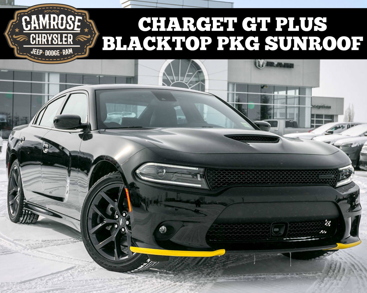 New 2023 Dodge Charger GT PLUS For Sale/Lease | Camrose, AB | Stock#223020