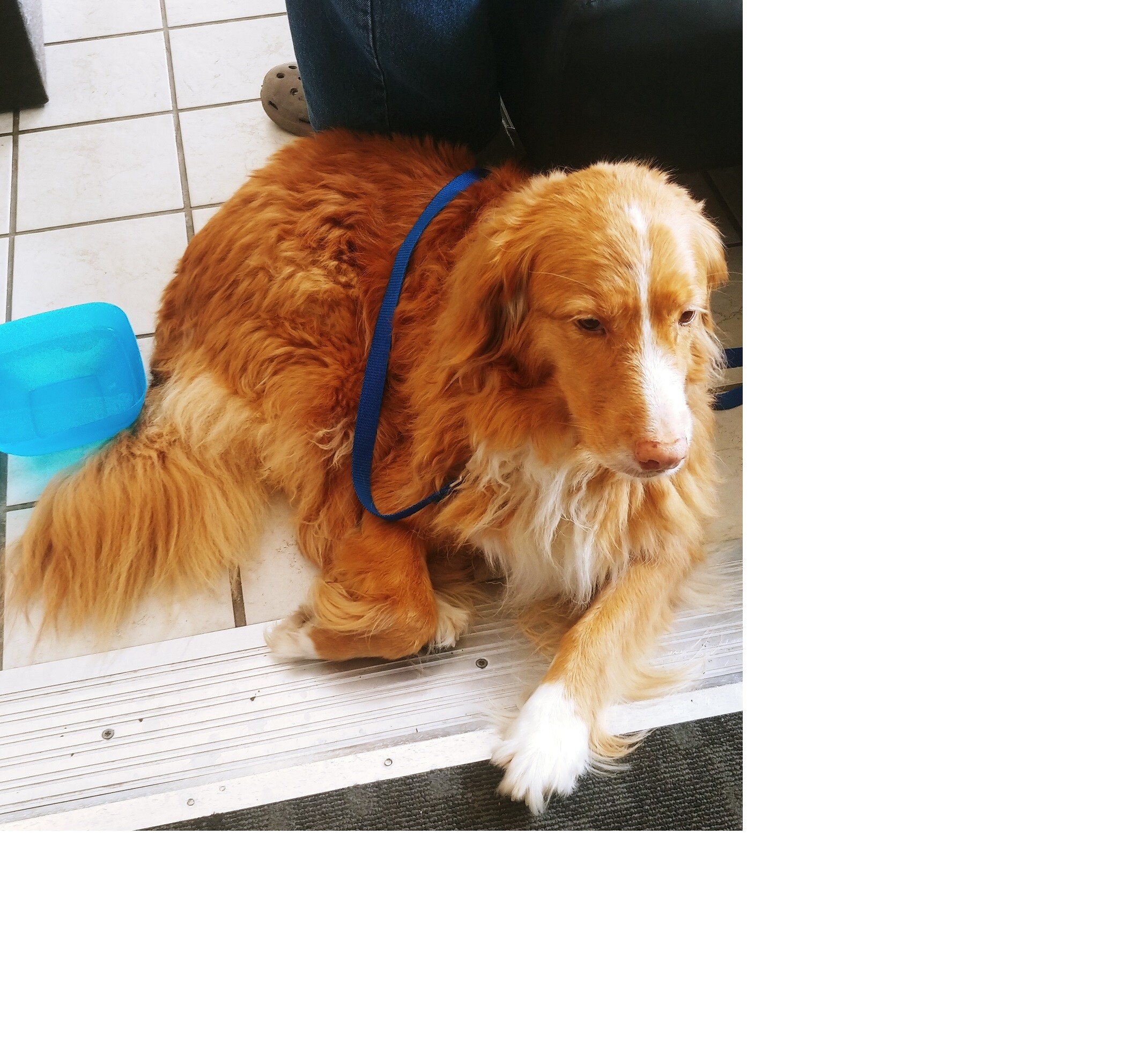 maggie.jpg