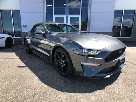 New 2019 Ford Mustang for sale in Estevan, SK