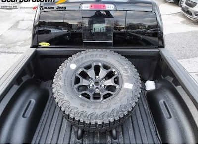 BED MOUNTED SPARE TIRE CARRIER