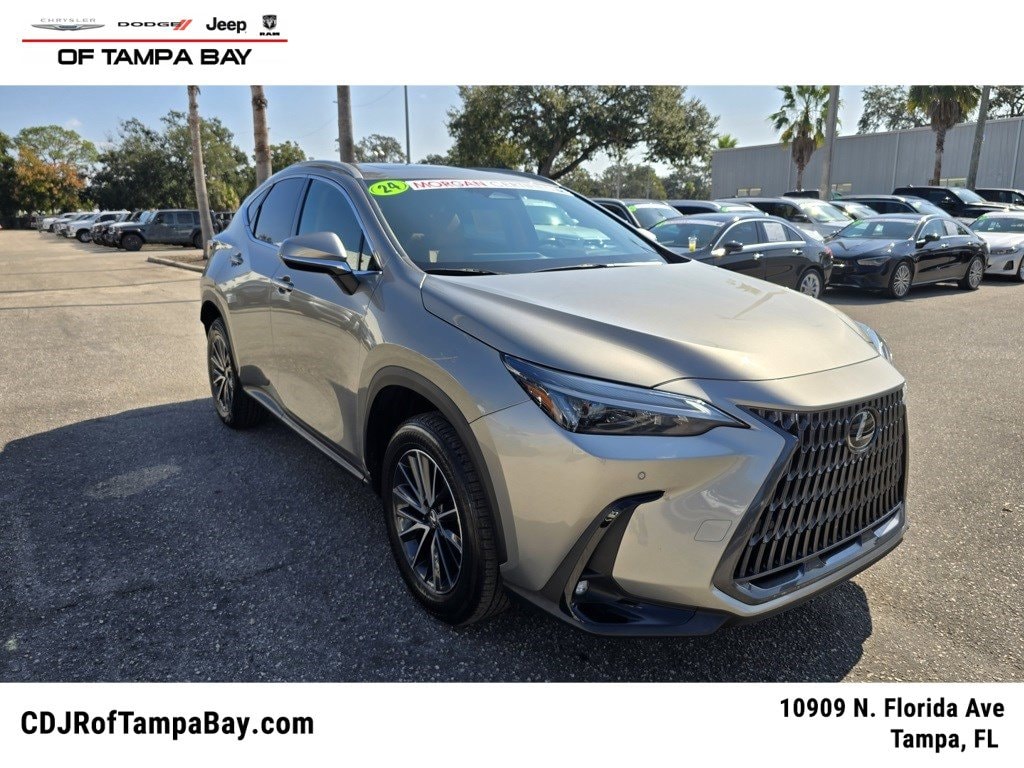 2024 Lexus NX 250's photo
