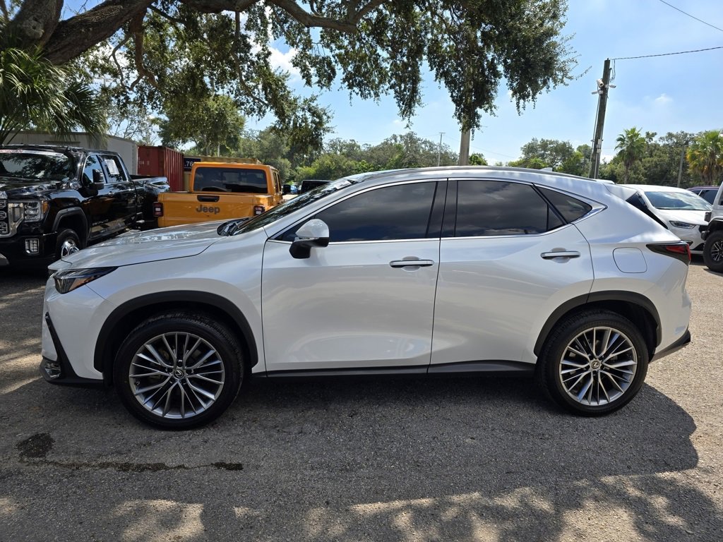 2023 Lexus NX 350h Premium photo 3