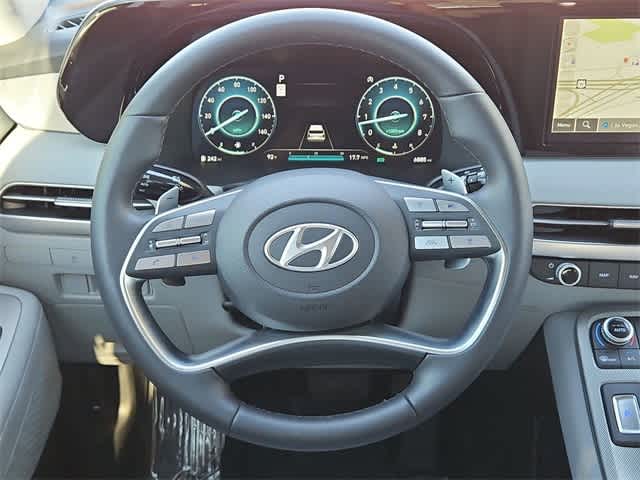 Thumbnail: 2025 Hyundai Palisade - 23