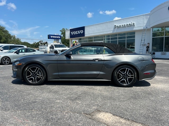 Used 2019 Ford Mustang EcoBoost with VIN 1FATP8UH9K5138770 for sale in Pensacola, FL