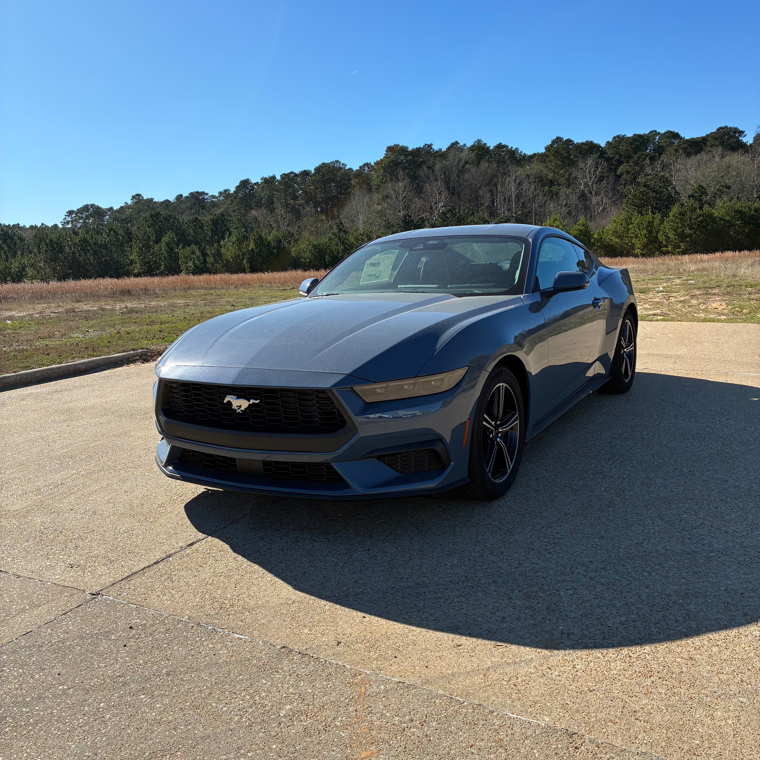 2025 Ford Mustang EcoBoost's photo