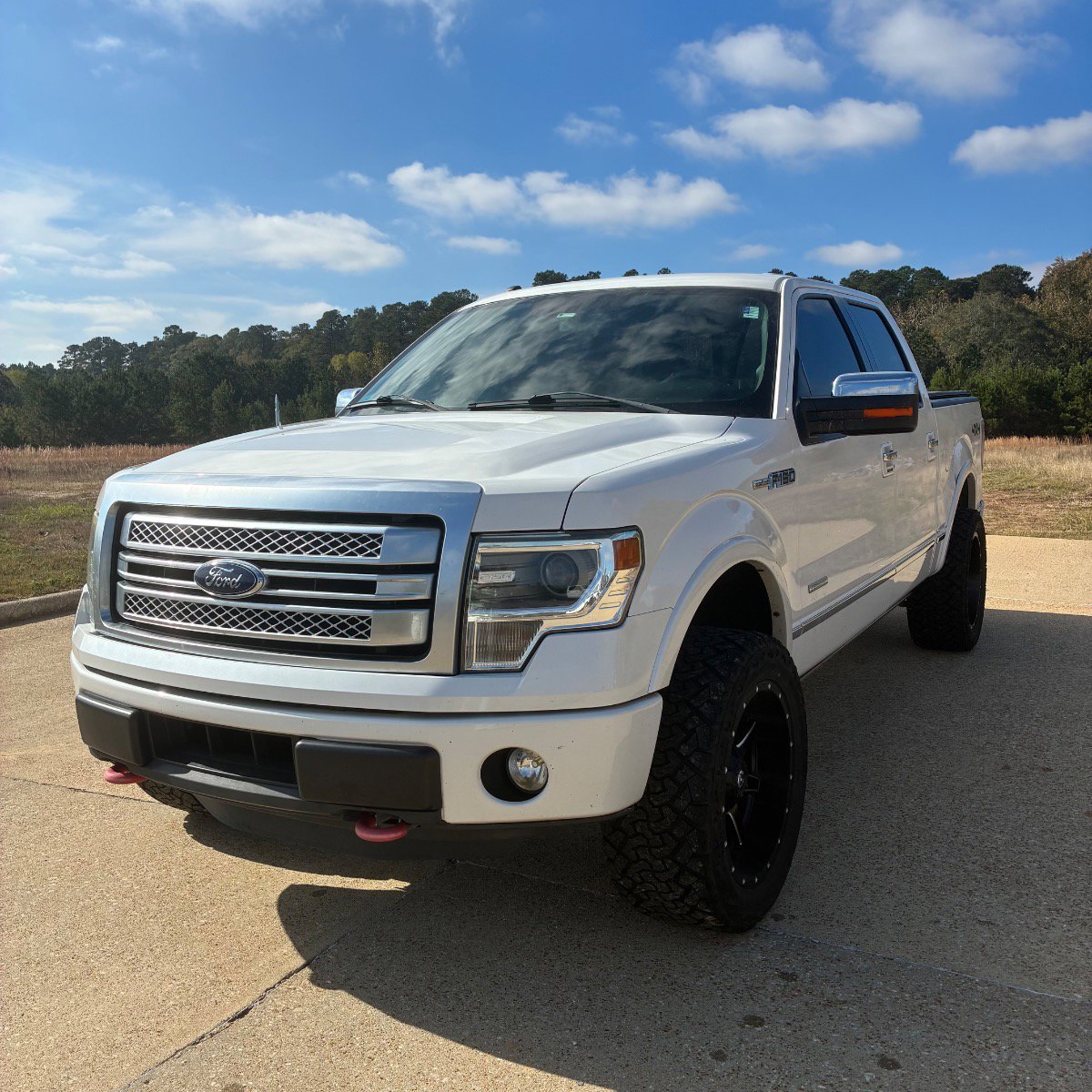 2014 Ford F-150 Platinum's photo