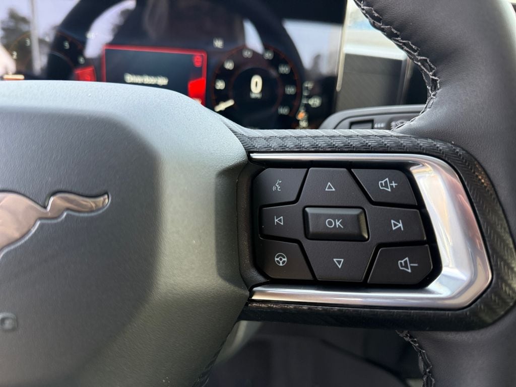 2026 Ford Mustang EcoBoost Fastback - Photo 19