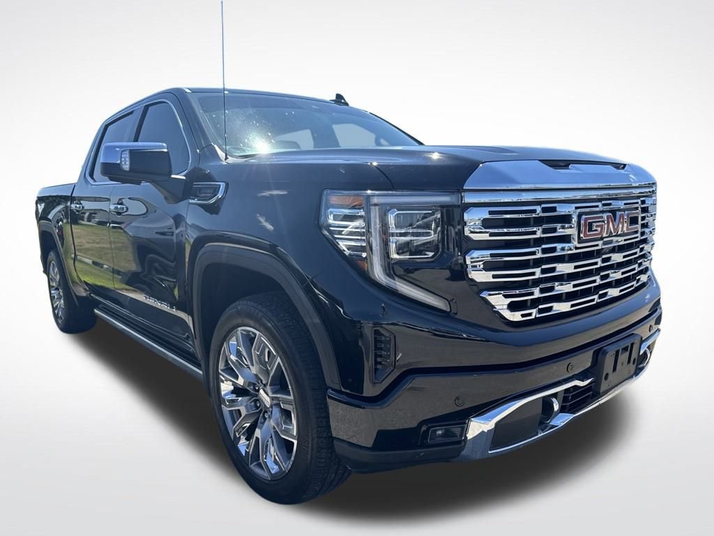 2024 Gmc Sierra 1500 Denali photo 2