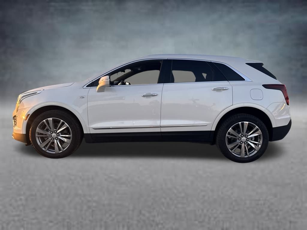 2025 Cadillac XT5 Premium Luxury photo 3