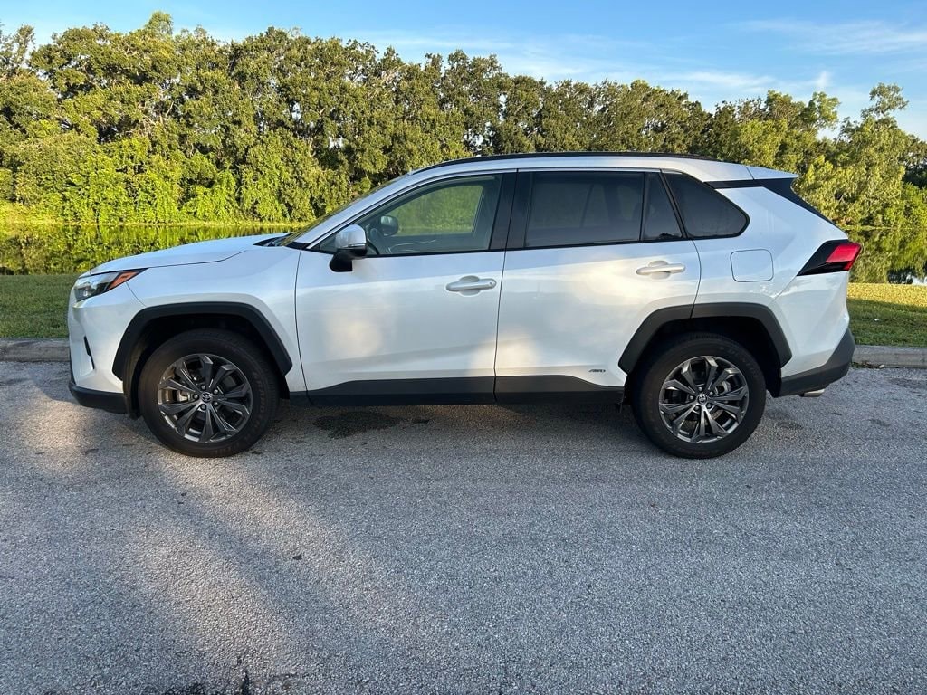 Used 2024 Toyota RAV4 XLE Premium with VIN JTMB6RFVXRD118724 for sale in Northfield, Minnesota